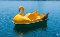 Paddle Boats