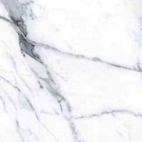 Staturio Glossy Tiles FR