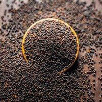 Natural Sarson Black Mustard Seeds