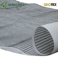 Pp Geogrid      .