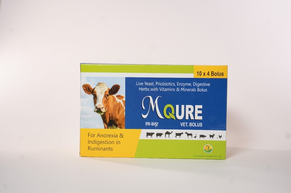 MQURE Live Yeast Priobiotics Enzyme Digestive Herbs With Vitamins And Minerals Bolus