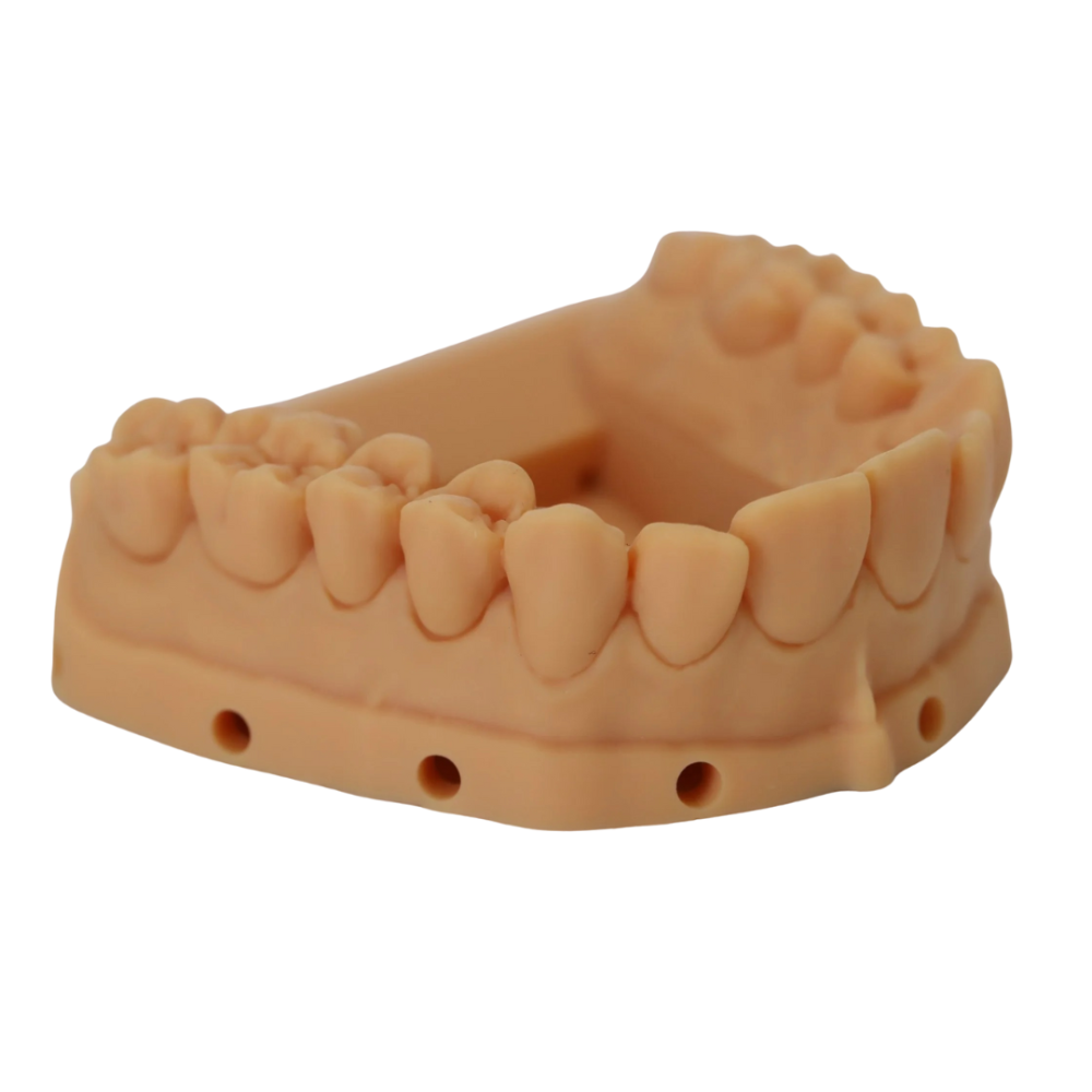 MOLEGRID Model Resin Dental 3D Printer Resin for Accurate Durable Models Buy Online in India