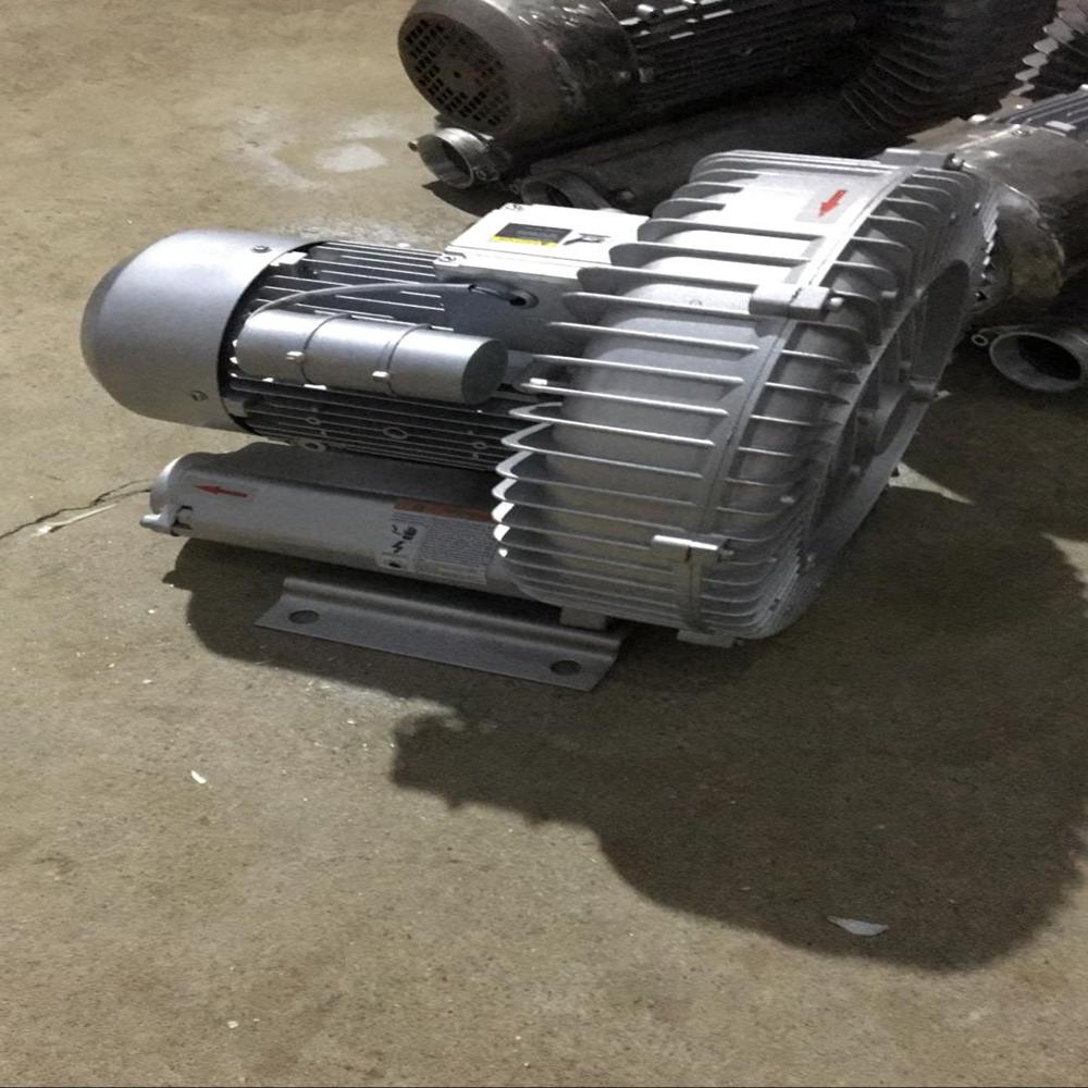 Single stage Regenerative Blower