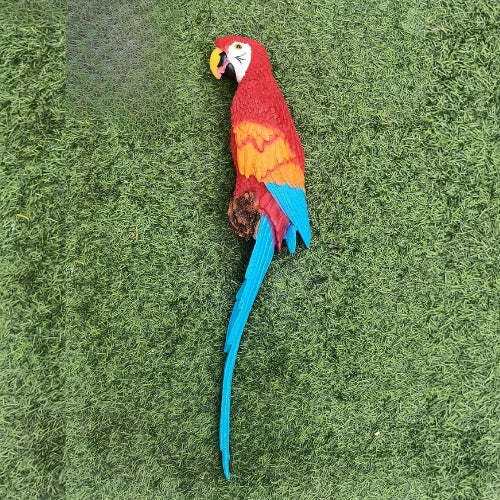 Big size wall parrot