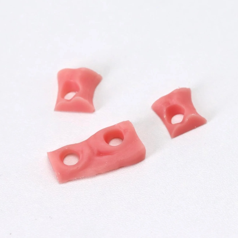 MOLEGRID Gingiva Mask  Realistic Pink Gum Tissue Resin 05 kg