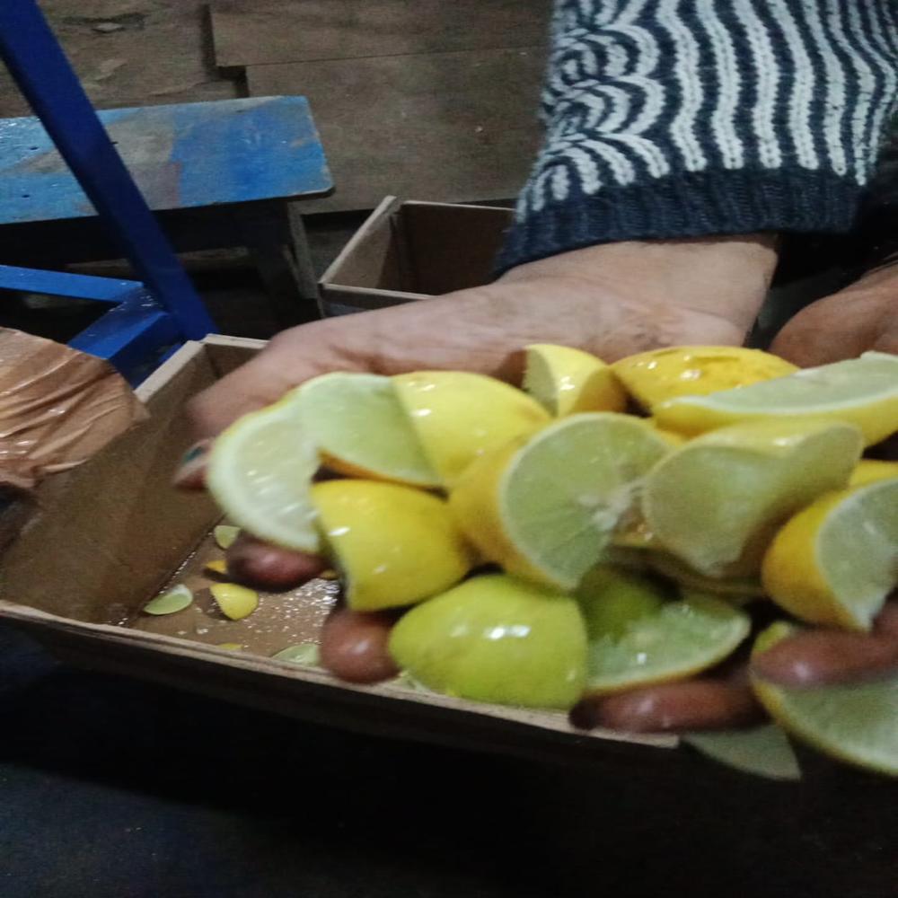 Lemon Cutting Machine