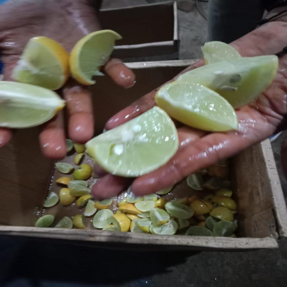 Lemon Cutting Machine - Feature: Eco Friendly