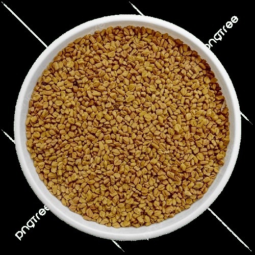 Fresh Fenugreek Seed