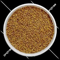 Fresh Fenugreek Seed - Color: Yellow