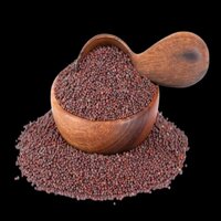 Fresh Mustard Seeds - Color: Multiple