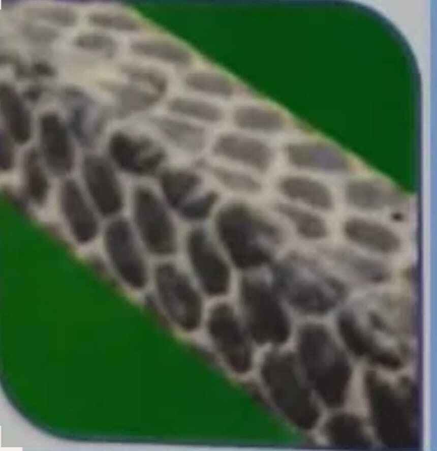 Tycoon Gland Packing TM Carbo 100