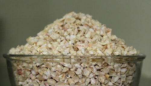 Corn Germ - Color: Creamish Yellow