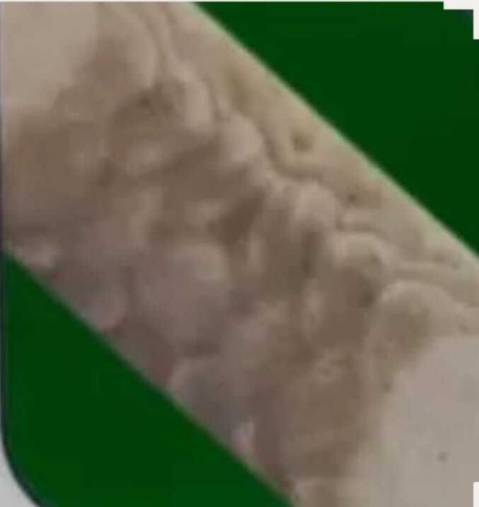 Tycoon Gland Packing TM White PTFE Made Up Of Two Synthetic Yarn With Oil