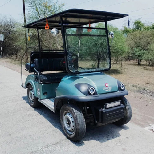 Electric Golf Cart - Capacity: 300 Kg