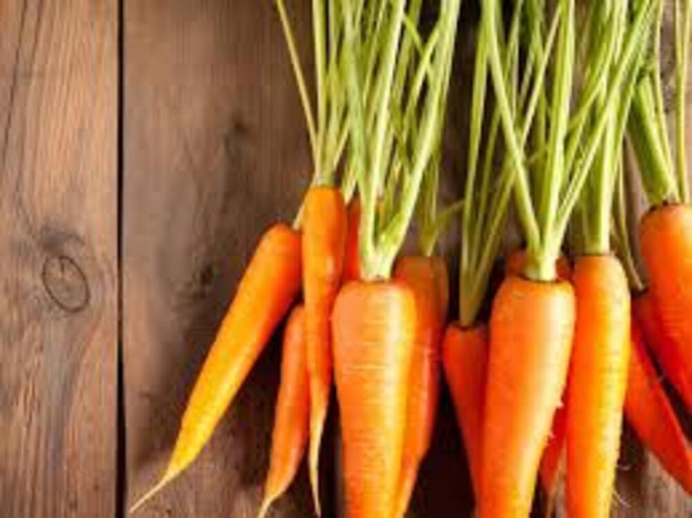 Fresh Carrots - Cultivation Type: Organic