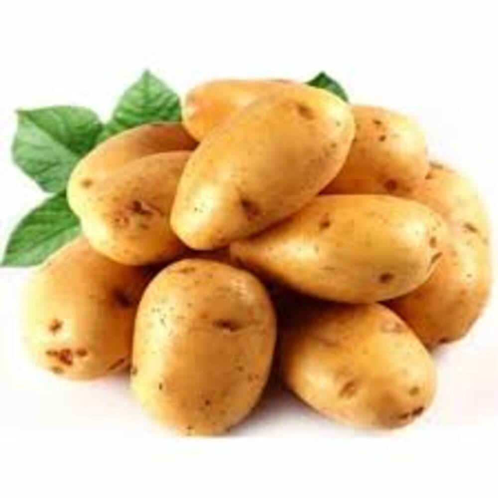 Fresh Potatoes - Cultivation Type: Organic