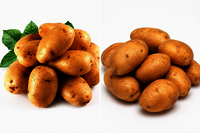 Fresh Potatoes - Cultivation Type: Organic
