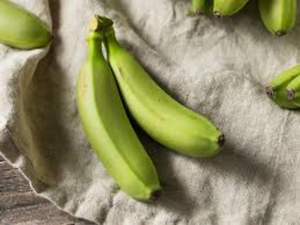 Green Bananas - Cultivation Type: Organic