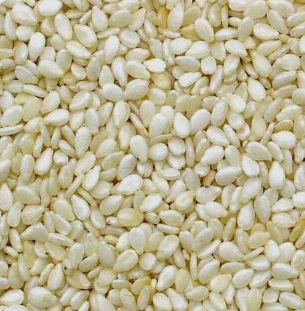 Sesame Oil Seed - Color: White
