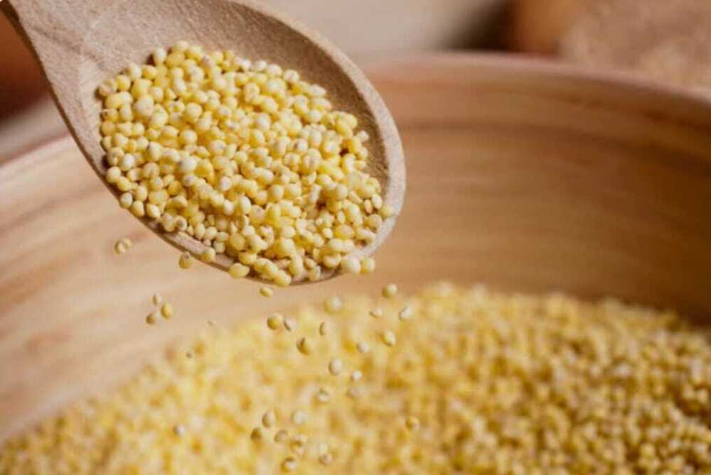 Millet Seed - Color: Yellow