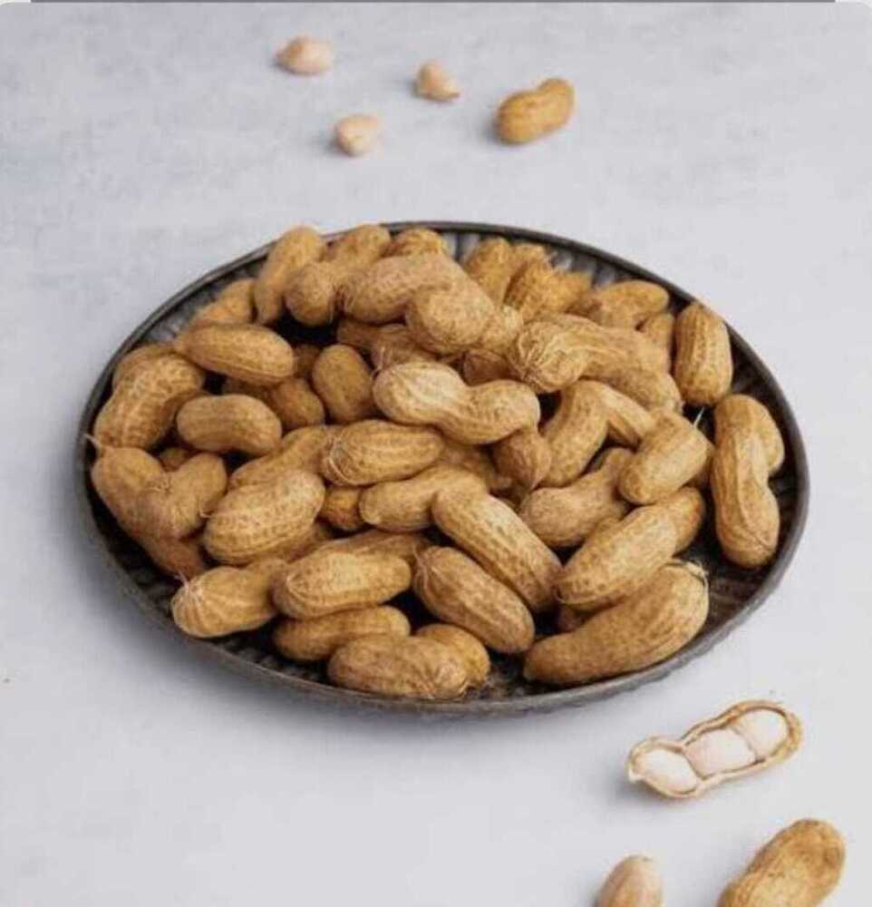 Groundnut Seed - Color: Brown