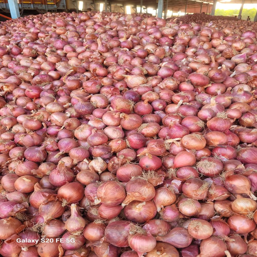 Fresh Onion