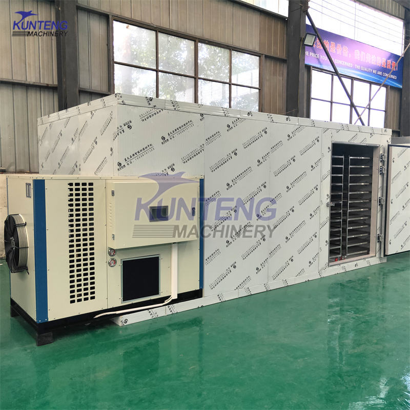 Energy-saving Fruits Drying Oven Mango Orange Slices Dryer Room