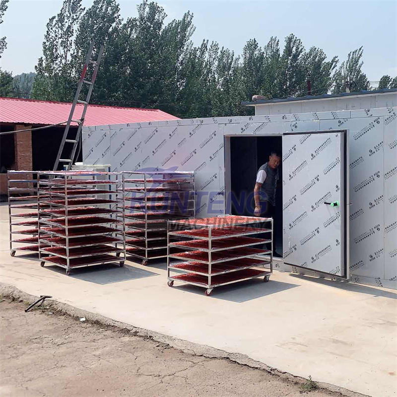 Energy-saving Fruits Drying Oven Mango Orange Slices Dryer Room