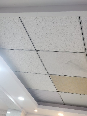 All Type Of Ceiling Works - Color: As Per Requirement