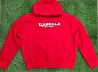 Screen plus puff printing hoodie