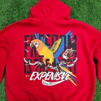 Screen plus puff printing hoodie