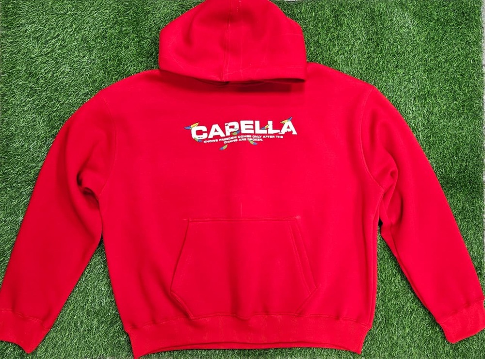 Screen plus puff printing hoodie