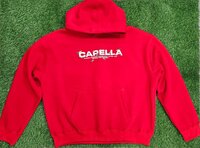 Screen plus puff printing hoodie