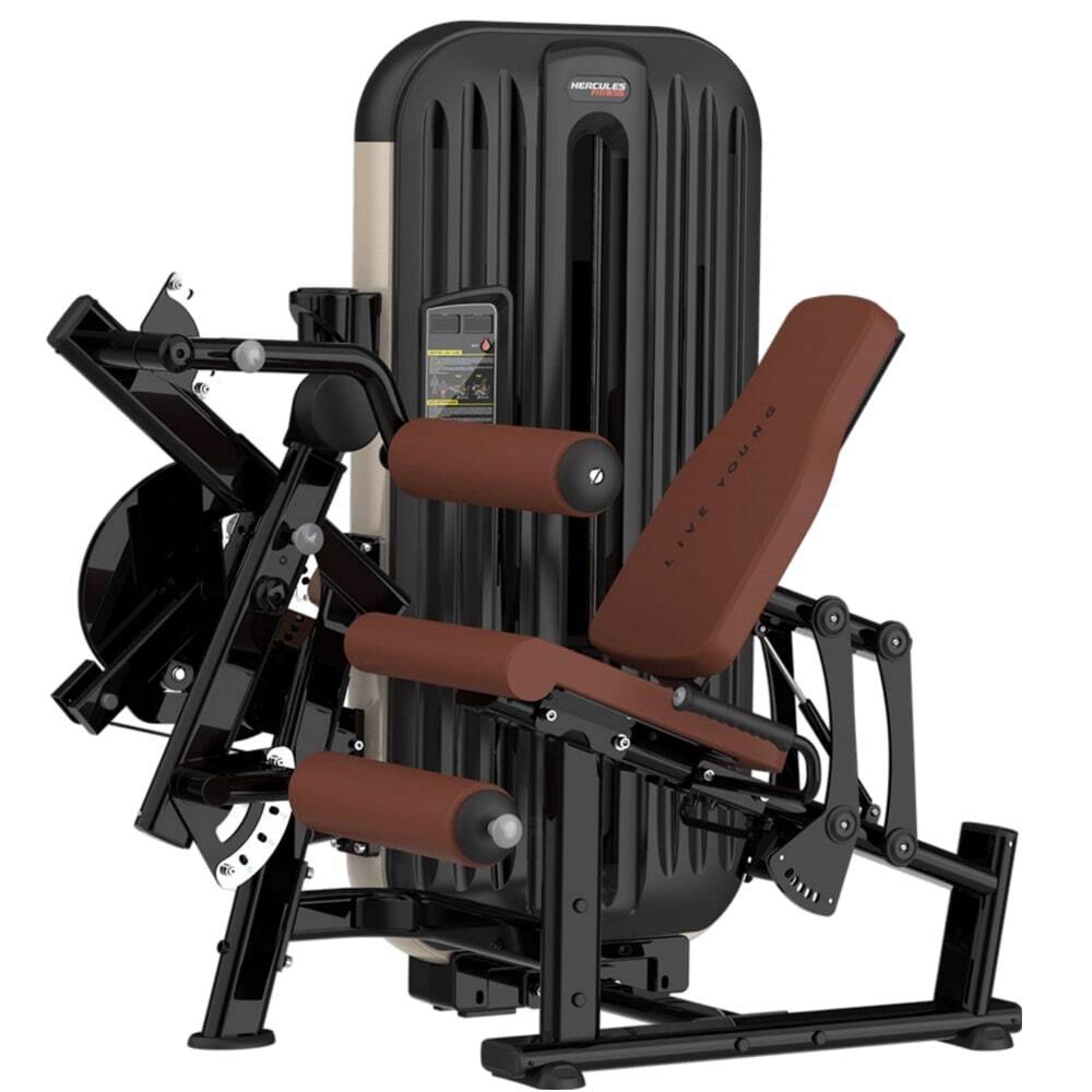 Aristo AR1314 Leg Curl and Leg Extension