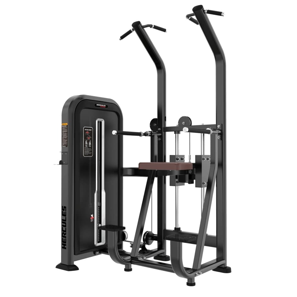 Forge FO24 Assisted Chin and Dip