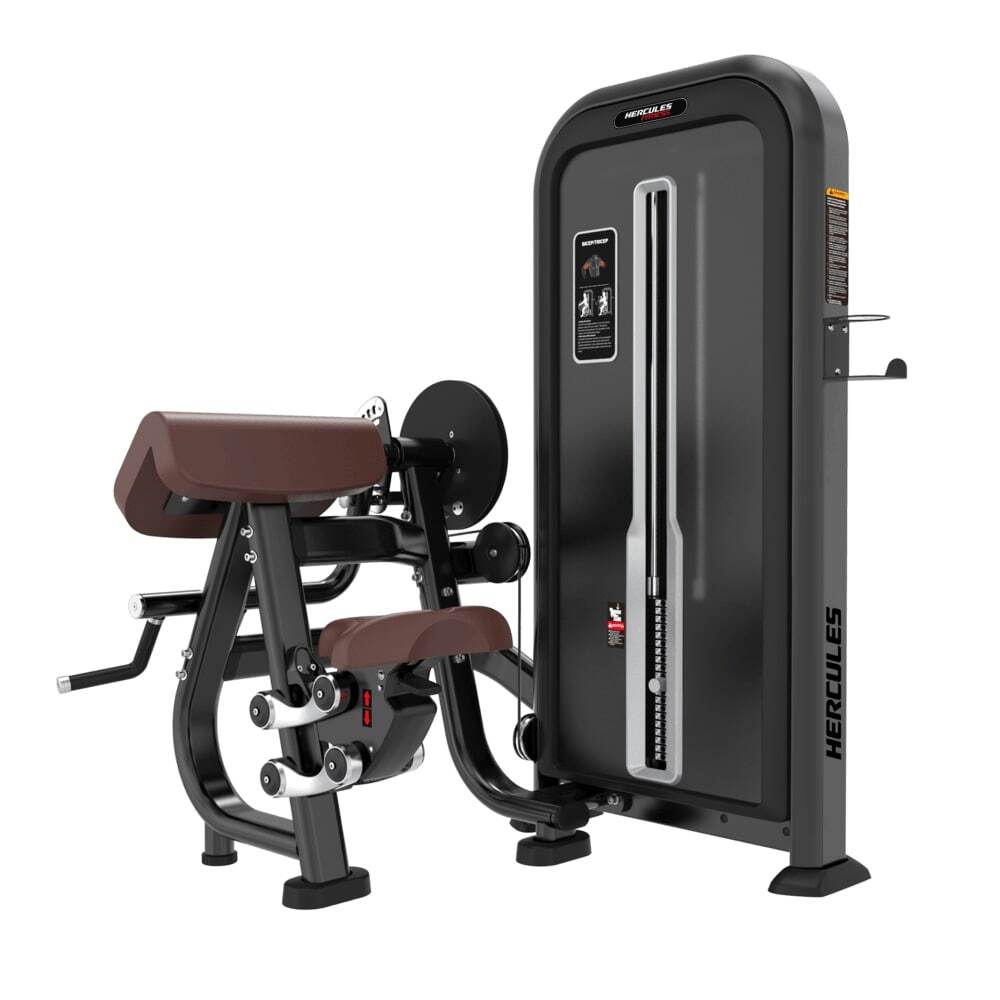 Forge FO26 Biceps and Triceps