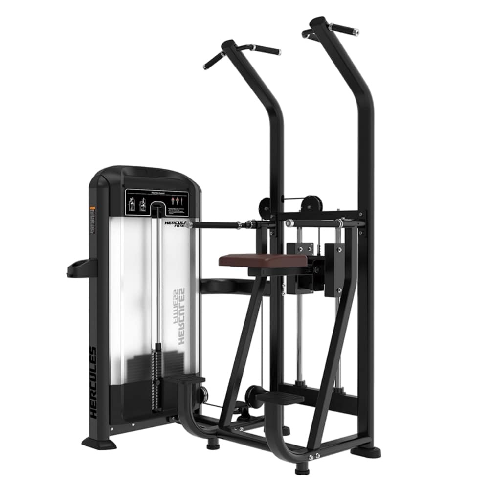 Dna DN24 Assisted Chin and Dip