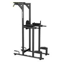 Vertical Knee Raise