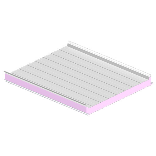 IPN KingSeam Roof Panel
