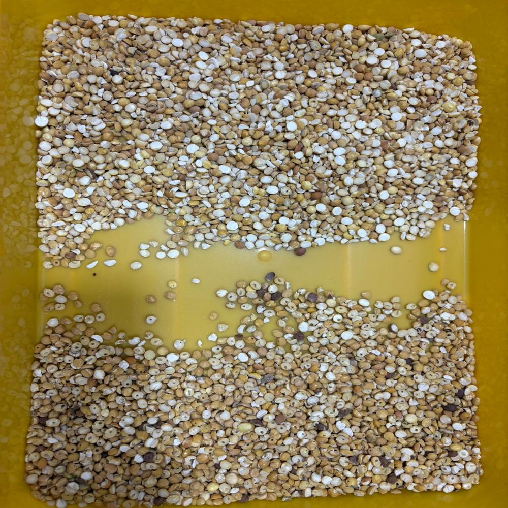 Dunky(Wormwhole) Sorting machine