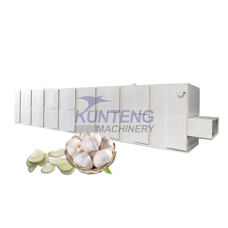 Industrial Garlic Fruit And Vegetable Drying Machine Onion Mesh Belt Dryer Radish Mushroom Drying Machine - Capacity: 150 Kg/Hr