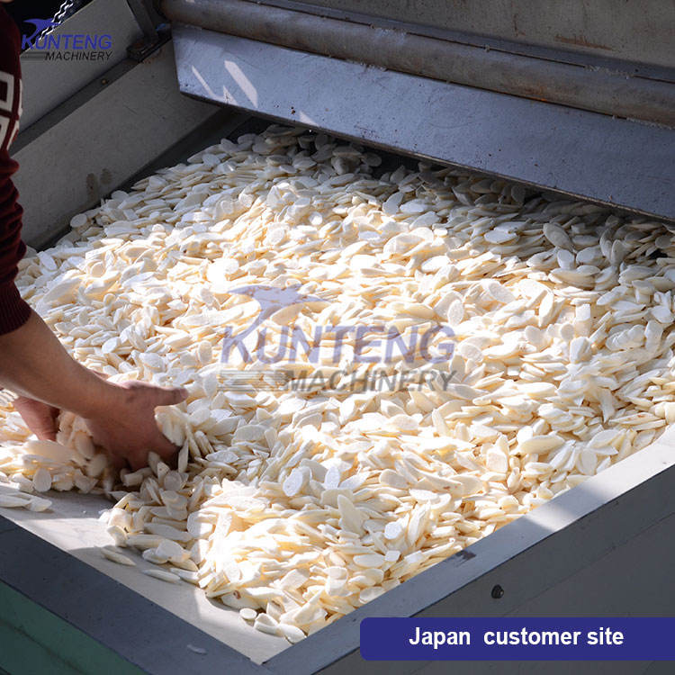 Industrial Garlic Fruit and Vegetable Drying Machine Onion Mesh Belt Dryer Radish Mushroom Drying Machine