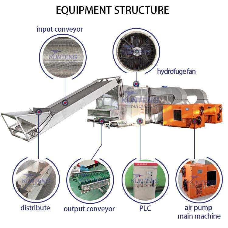 Industrial Garlic Fruit and Vegetable Drying Machine Onion Mesh Belt Dryer Radish Mushroom Drying Machine