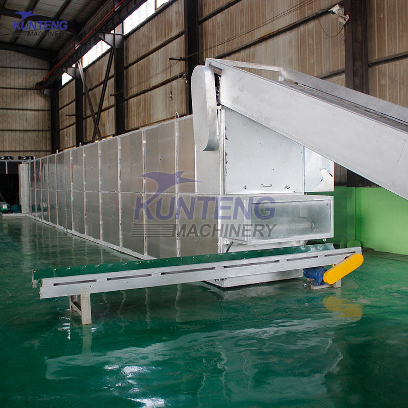 Cherry Tomatoes Ginger Fruit and Vegetable Mesh Belt Drier Small Cassava Cardamom Drying Machine