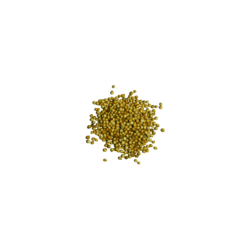 Coriander Seed