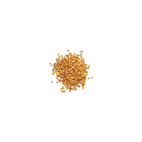 Brownish Coriander Seed