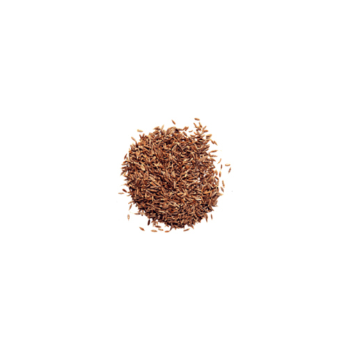 Bold Cumin Seeds