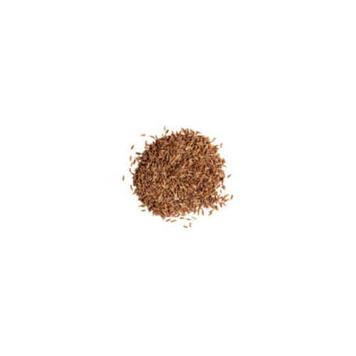 Cumin Seeds