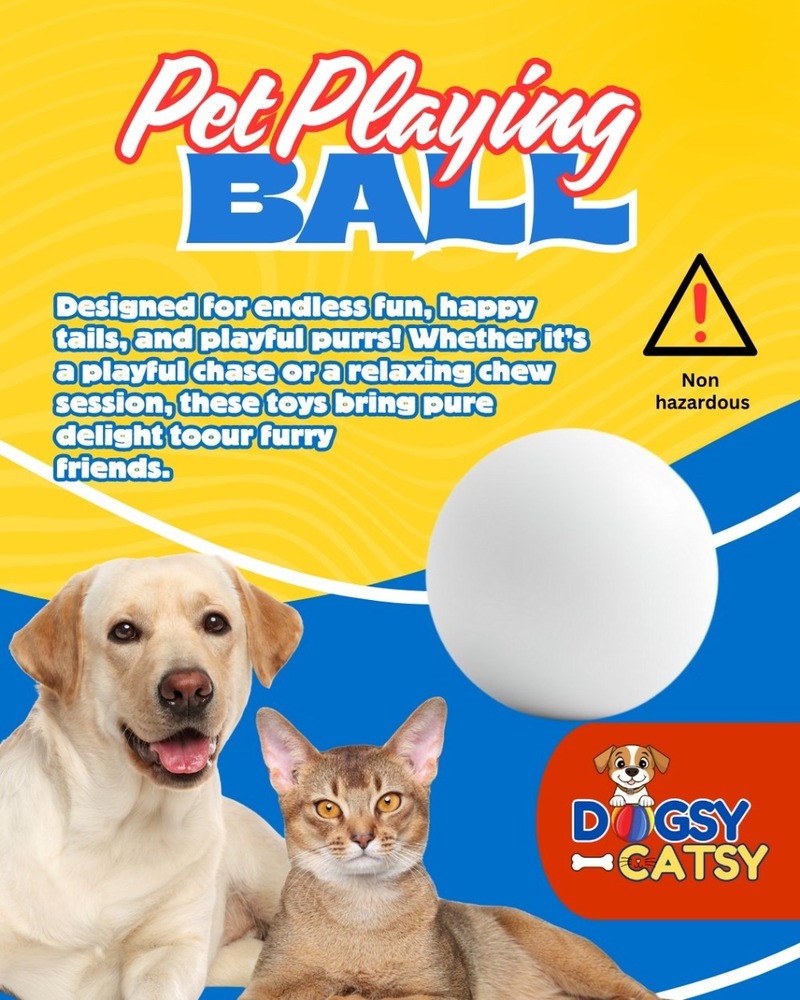 Pet Playing Balls Pets Toys
