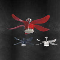 Citrus Designer Fans